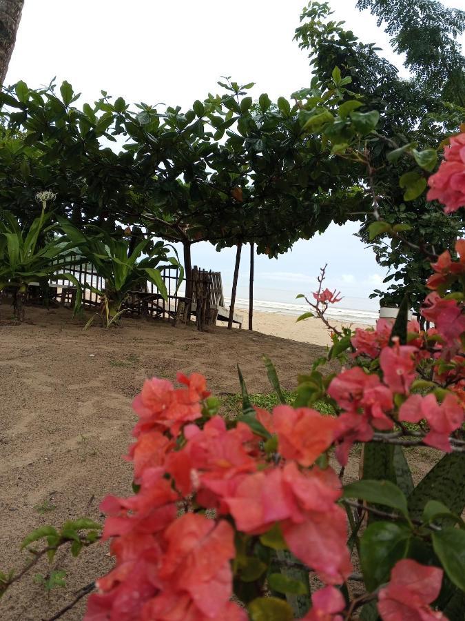 Akoya Beach Park And Cottages Locaroc Экстерьер фото